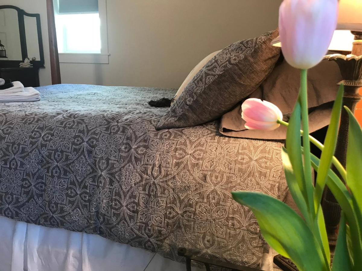 Snowgoose Pond Bed & Breakfast Palmer Exterior photo